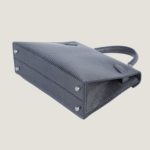 10001封面二代蜥蜴皮