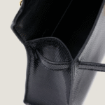 10001封面2代黑蜥蜴