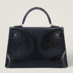 10001封面2代黑蜥蜴