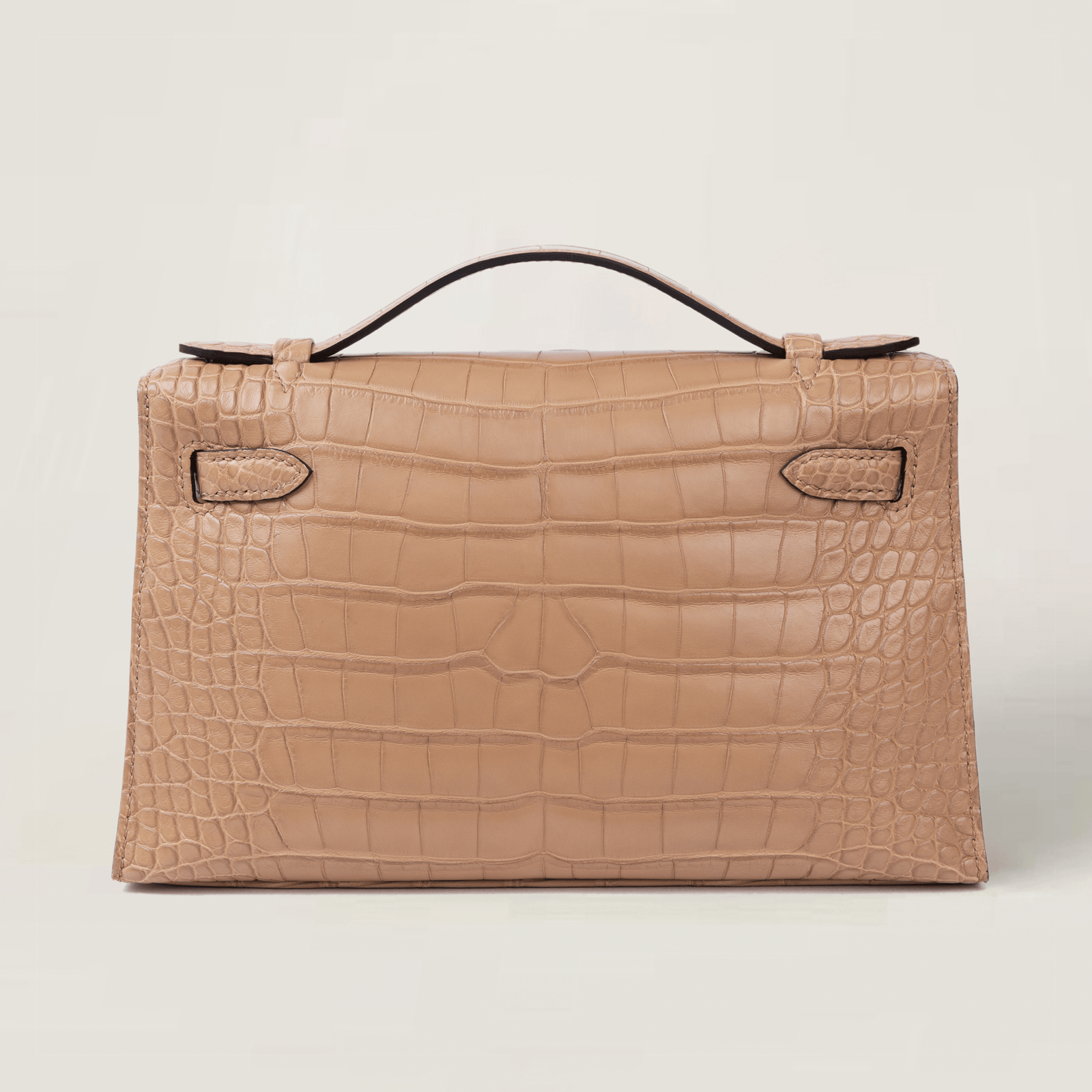 凯莉一代短吻鳄 (1)