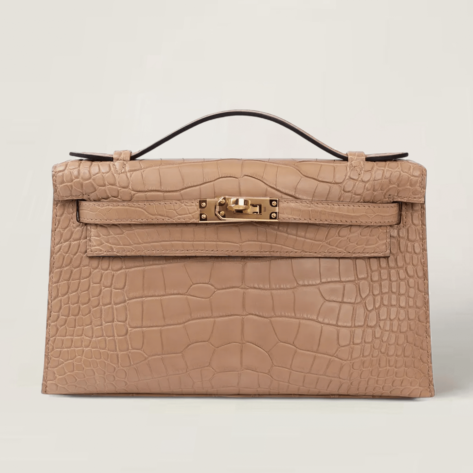 凯莉一代短吻鳄 (10)