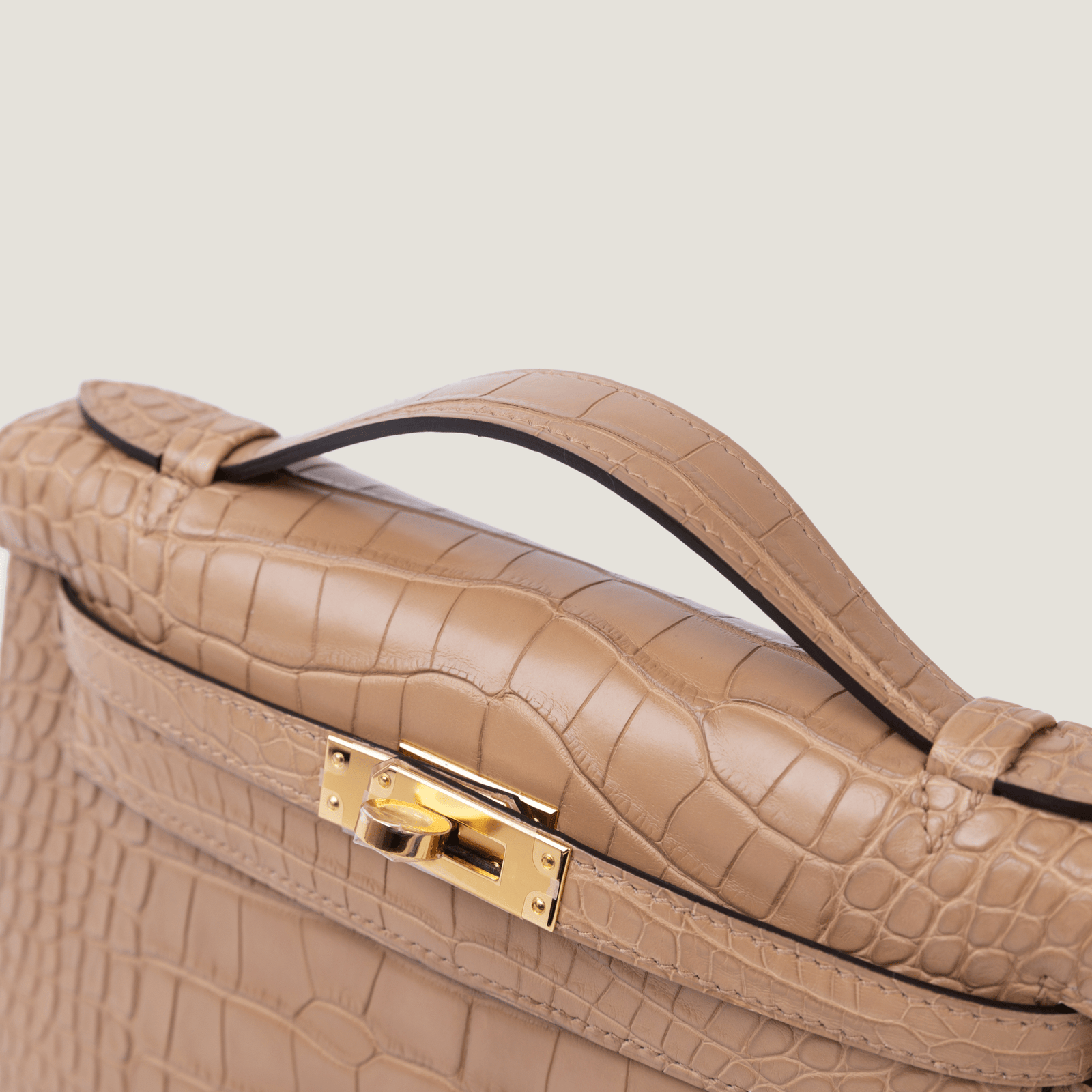 凯莉一代短吻鳄 (2)