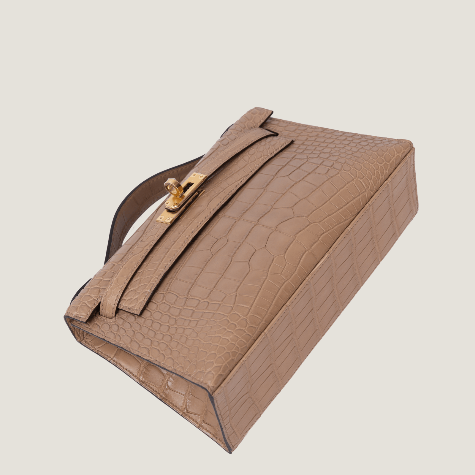 凯莉一代短吻鳄 (5)