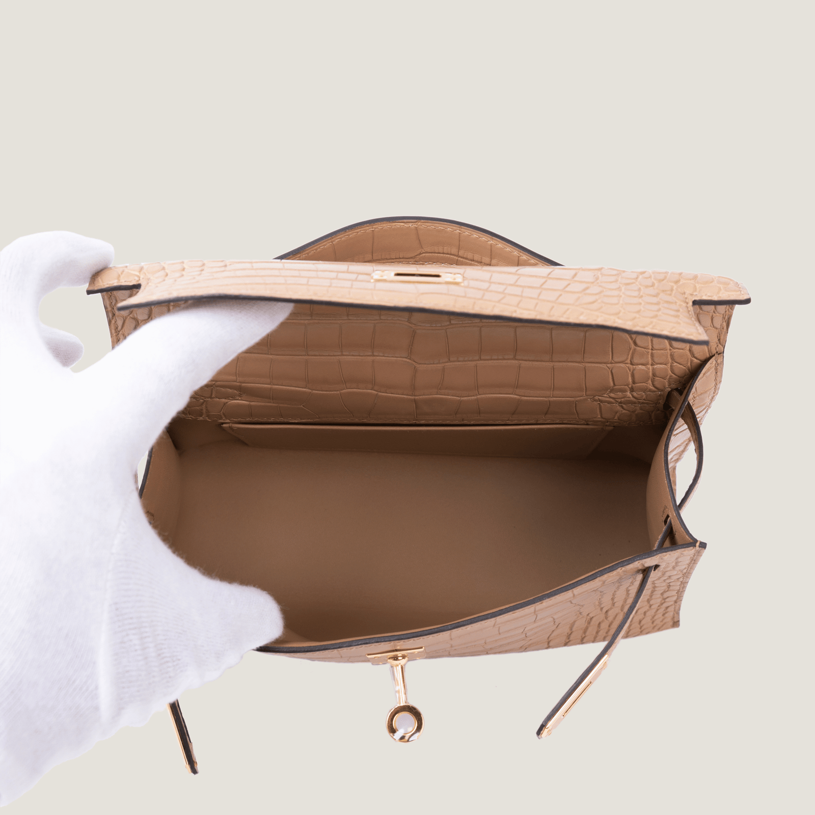 凯莉一代短吻鳄 (7)