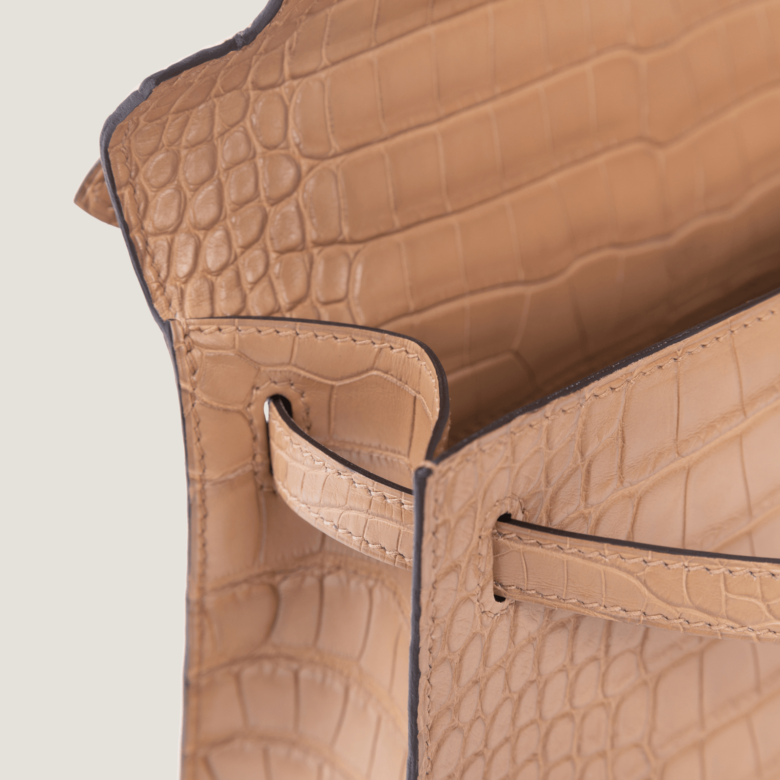 凯莉一代短吻鳄 (9)