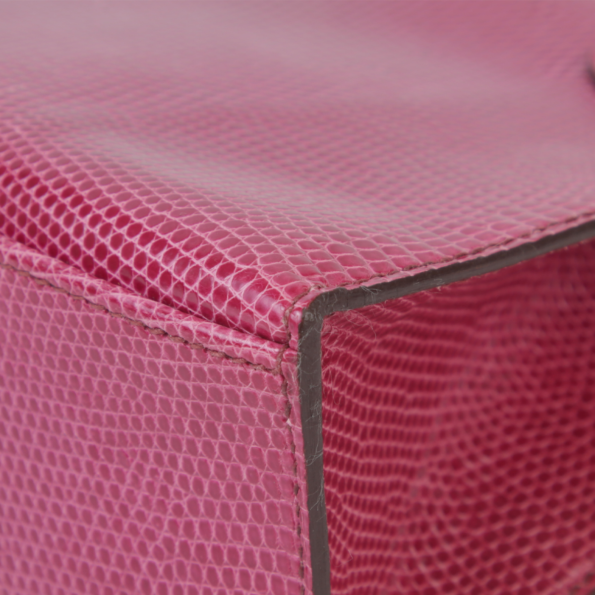 凯莉一代蜥蜴皮 (10)