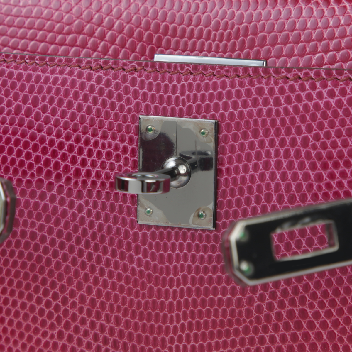 凯莉一代蜥蜴皮 (12)