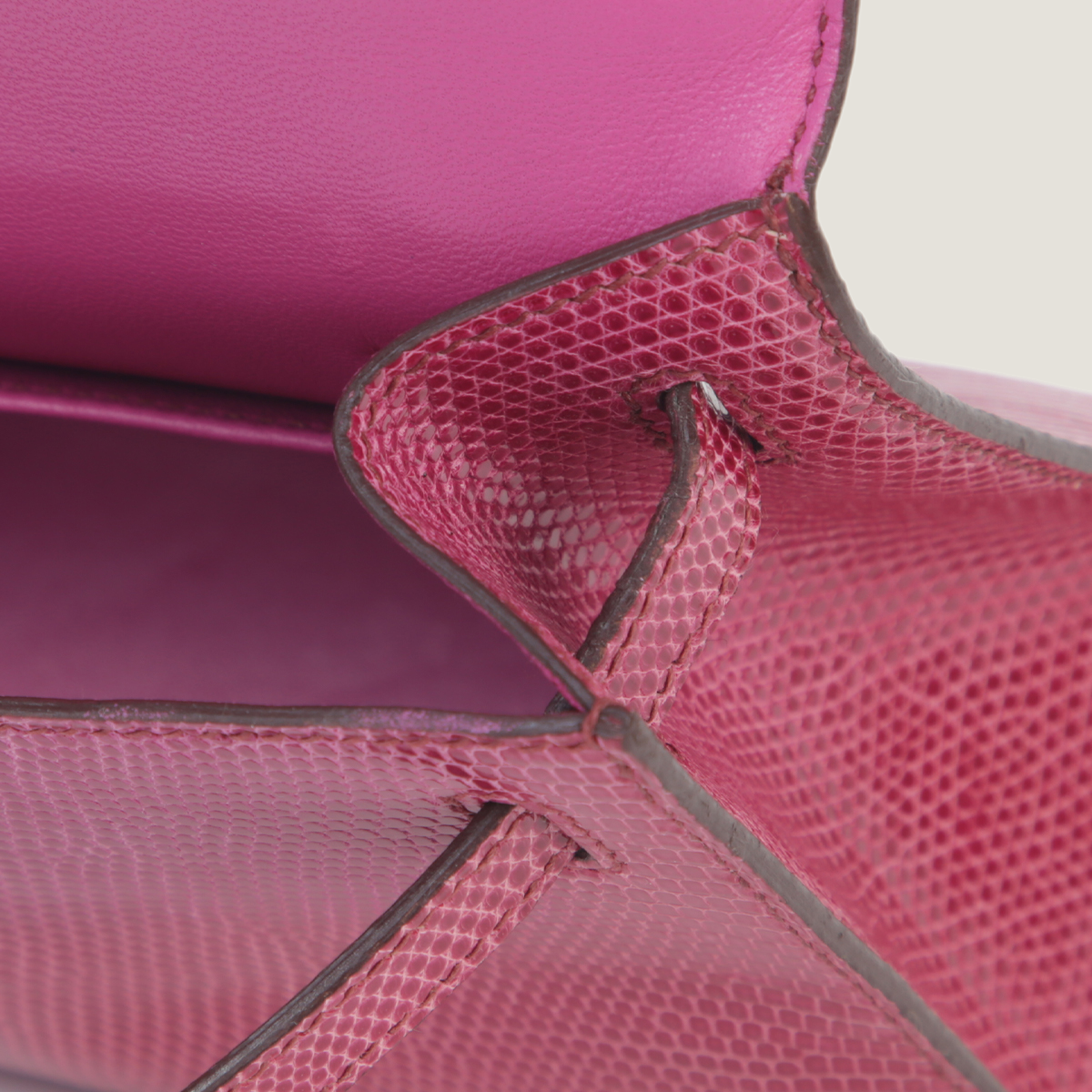 凯莉一代蜥蜴皮 (13)