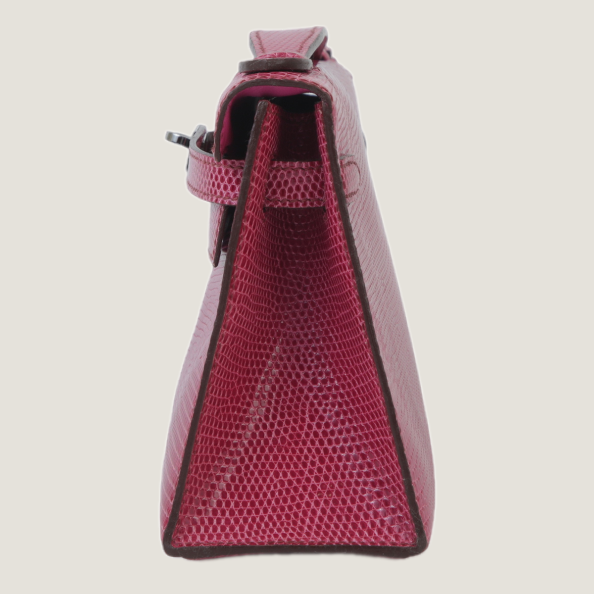 凯莉一代蜥蜴皮 (3)