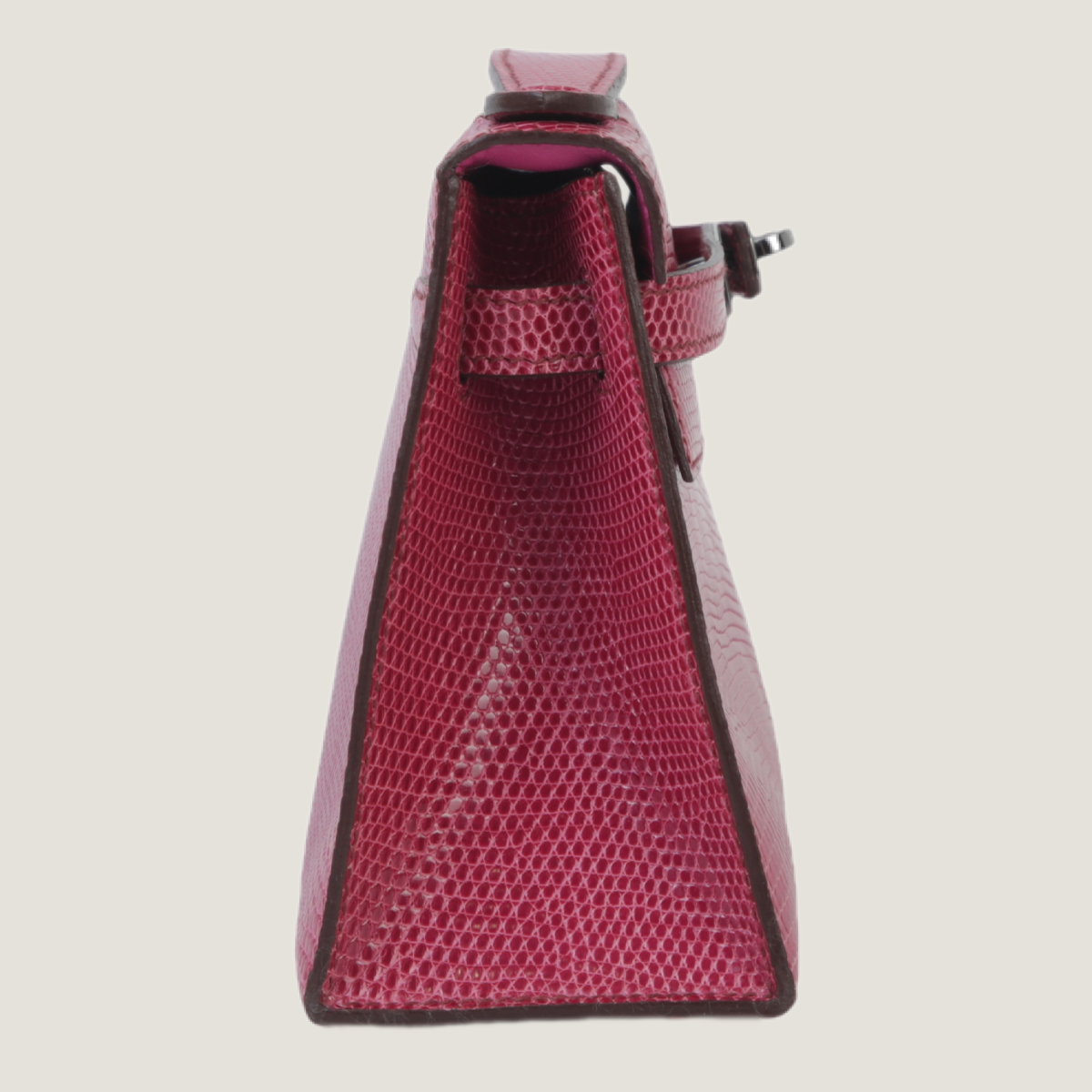 凯莉一代蜥蜴皮 (4)