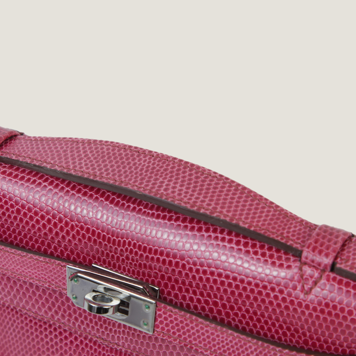 凯莉一代蜥蜴皮 (5)