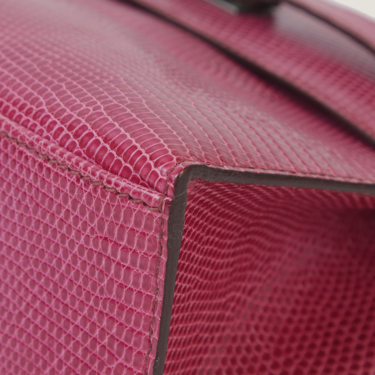 凯莉一代蜥蜴皮 (8)