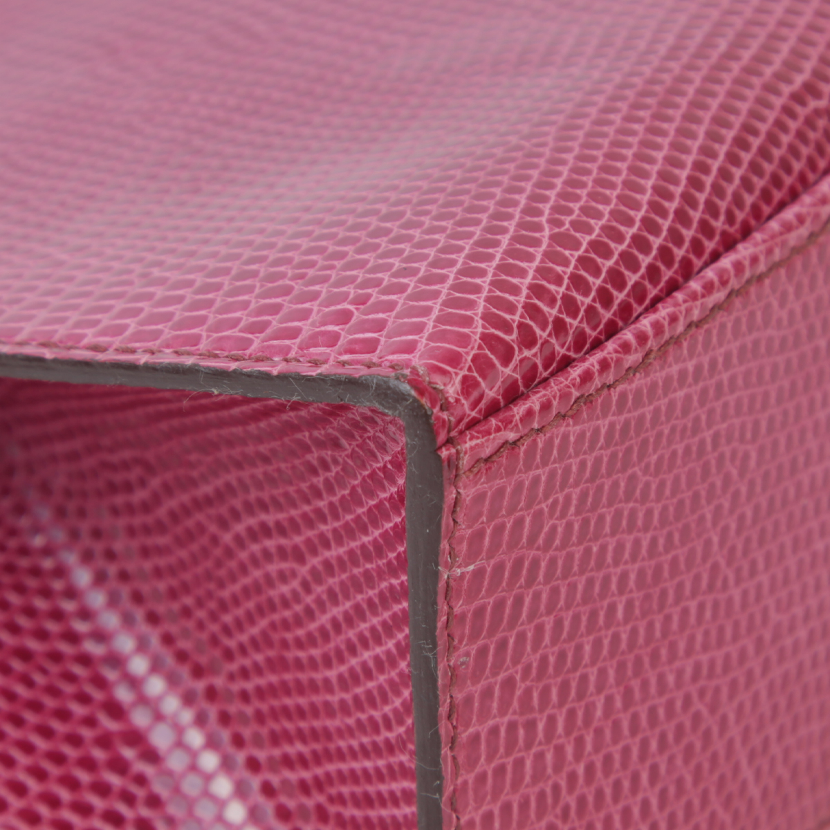 凯莉一代蜥蜴皮 (9)