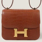 10001封面康康鳄鱼皮金棕