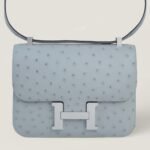 10001封面康康鸵鸟皮冰川蓝