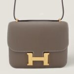 10001封面康康大象灰