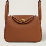 10001封面lindymini金棕