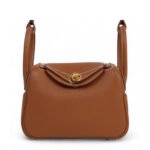 10001封面lindymini金棕