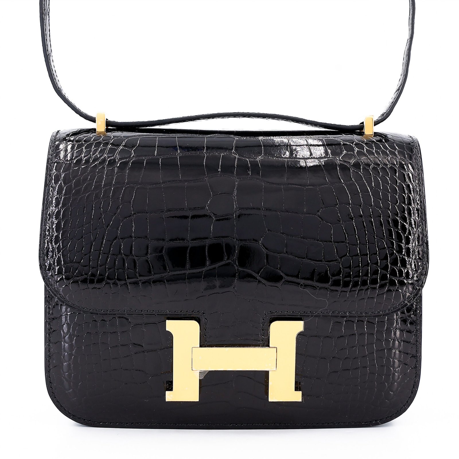 10001封面康康美洲鳄黑色