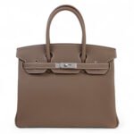 10001封面铂金大象灰银扣