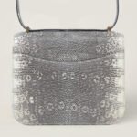 10001封面康康原色蜥蜴皮