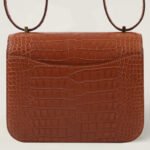 10001封面康康鳄鱼皮金棕