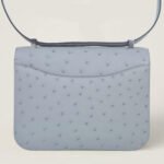 10001封面康康鸵鸟皮冰川蓝