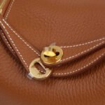 10001封面lindymini金棕