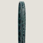 10001封面美洲鳄猪鼻子修