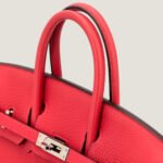 10001封面铂金红色