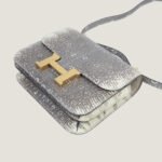 10001封面康康原色蜥蜴皮