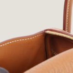 10001封面lindymini金棕