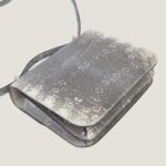 10001封面康康原色蜥蜴皮