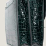 10001封面美洲鳄猪鼻子修