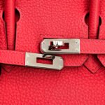 10001封面铂金红色