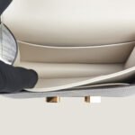 10001封面康康原色蜥蜴皮