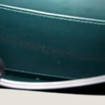 10001封面美洲鳄猪鼻子修