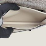 10001封面康康原色蜥蜴皮