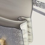 10001封面康康原色蜥蜴皮