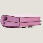 10001封面康康锦葵紫