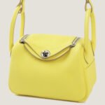 10001封面琳迪mini柠檬黄