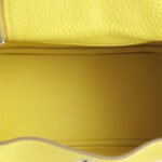 10001封面琳迪mini柠檬黄